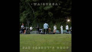 Fat Freddy's Drop - Wairunga