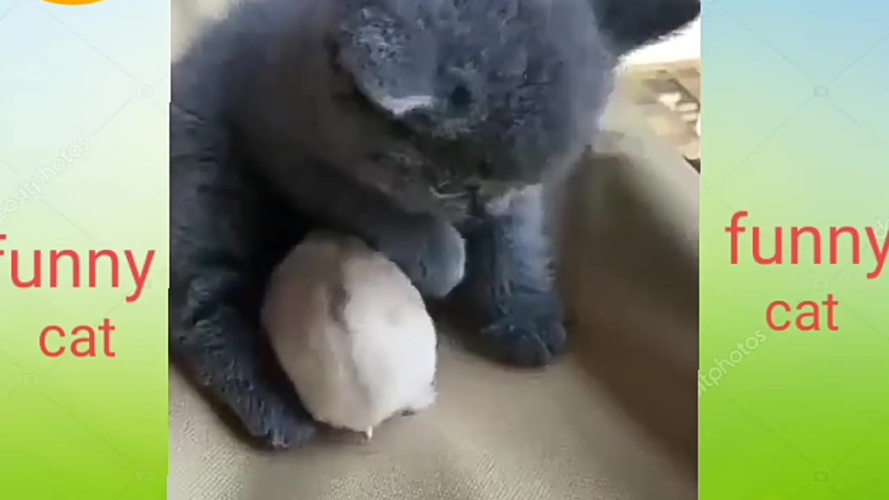 Part=2Funniest Cats and Dogs Compilation | Best Funniest Video 2023 | Funny Animal Videos