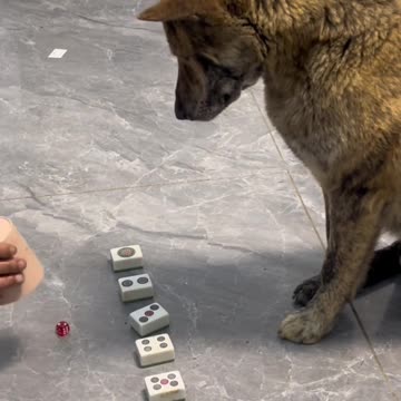 Beat about the bush come to the point