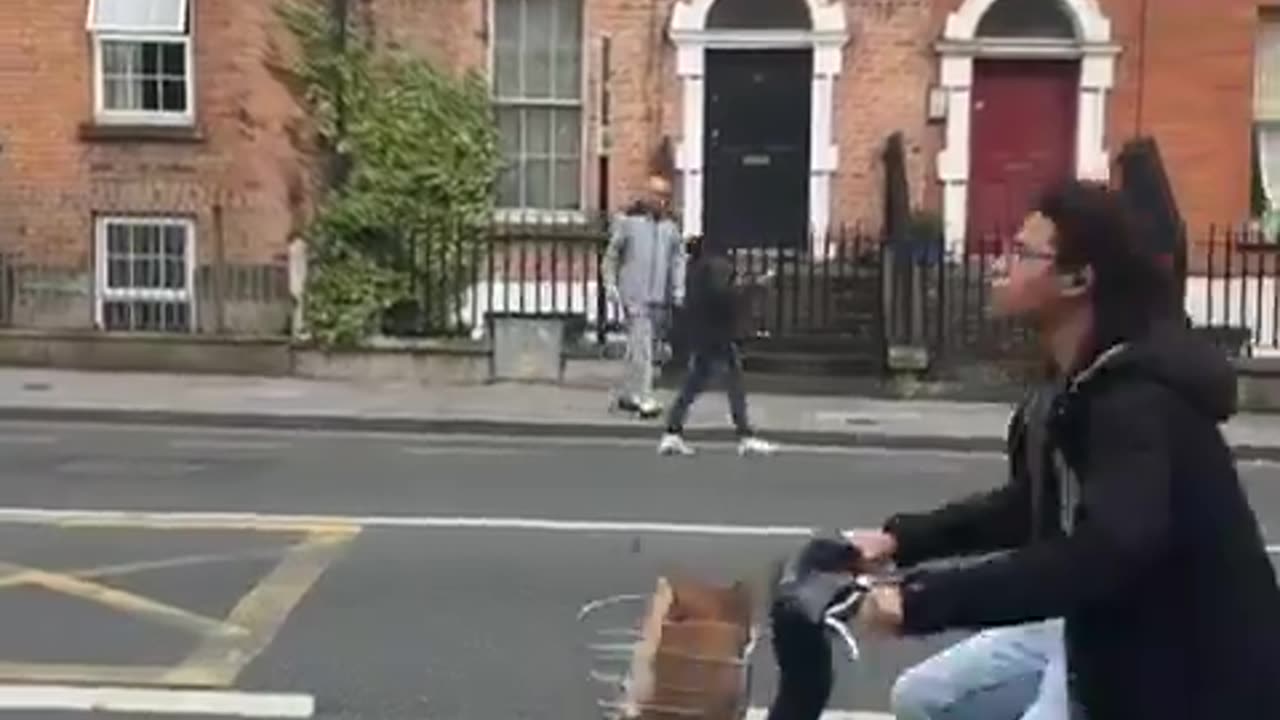 Dublin. A foreigner caught flashing kids is dealt with by an Irish man.