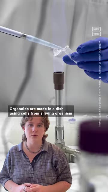 Bioprocessor Living Brain Computer