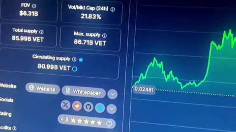 vechain crypto coin! #fyp