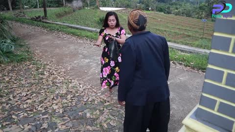 MUSOH WONG BUDEK Eps 31 PUCUK DI CINTA ULAM PUN TIBA -- Cerita Jawa