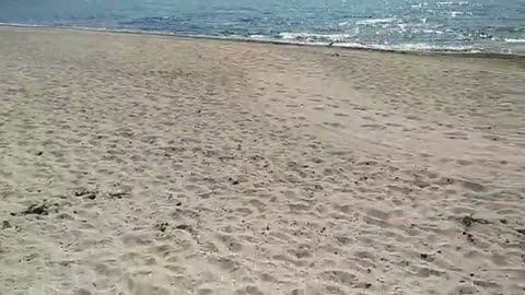 Vid Strandpromenaden, Helsingborg 23 Maj 2018