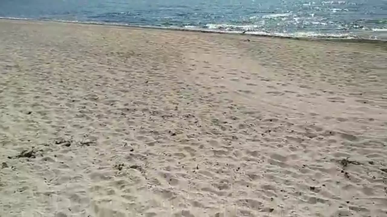 Vid Strandpromenaden, Helsingborg 23 Maj 2018