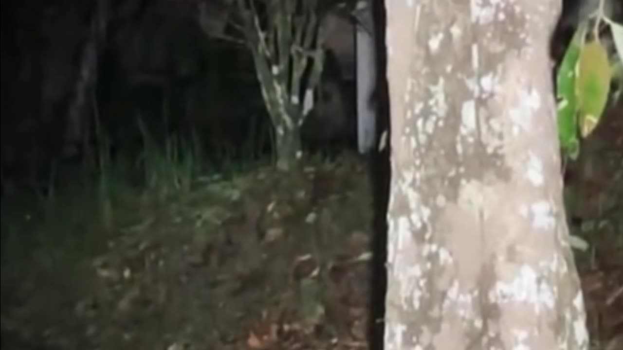 Ghost on camera paranormal activity part 22