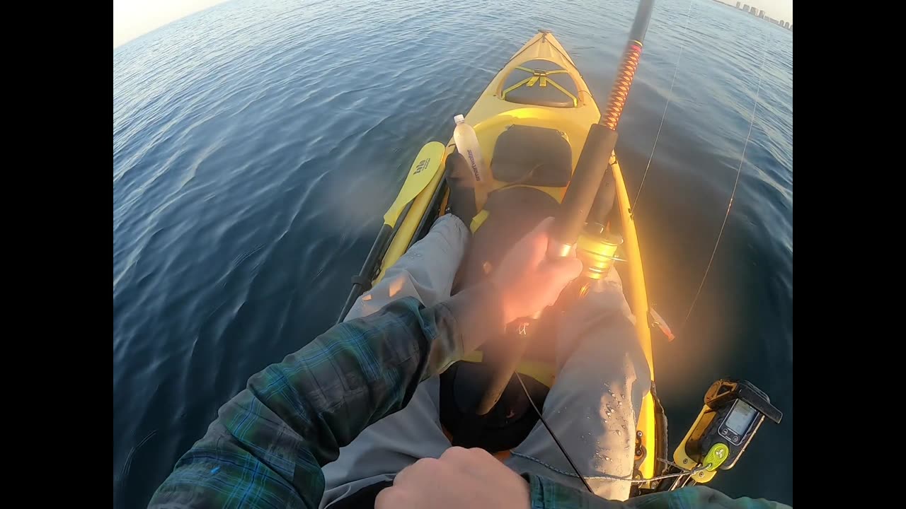 Navarre Blackfin Tuna Double Hookup 4-14-2024