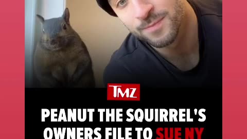 The peanut squirrel owner filling lawsuits om the deaths of peanut has he should 🙏🕊🕯🐿12/2/24