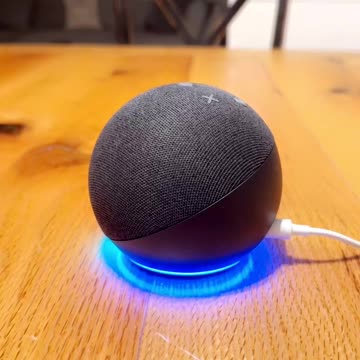 it activated my own Alexa which said the same thing !! (Must switch that bloody contraption off