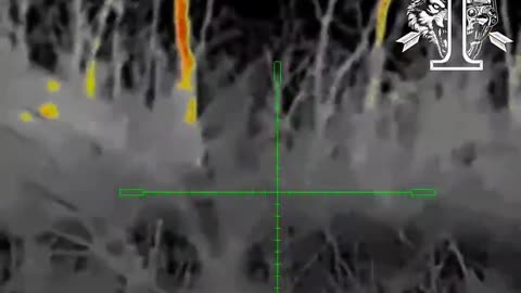 New Footage from Ukrainian Snipers