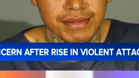 Repeat Offenders Continue To Be Released Into The Public In California