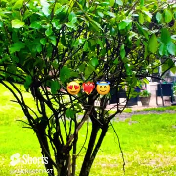 chosen ones God made nature so peaceful!