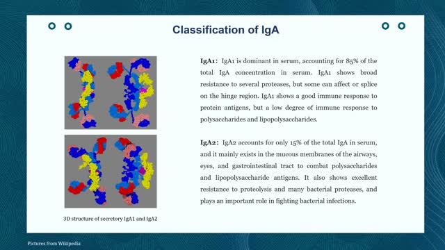 Phage Display & Antibody Library