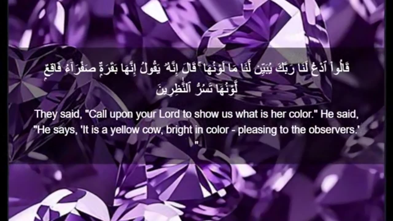 Beautiful recitation of the Holy Quran||تلاوة جميلة للقرآن الكريم