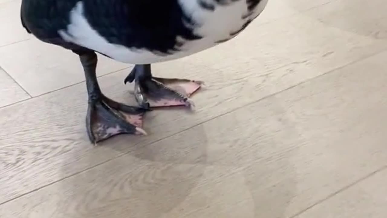 those wagging tails get me every time