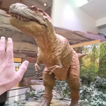 Tyrannosaurus rex at the Natural History Museum in Albuquerque,NM 2023