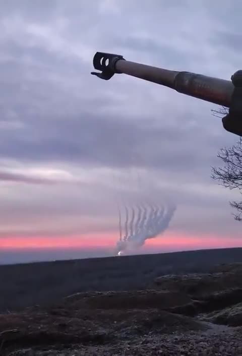 Early dawn 31 01 2023