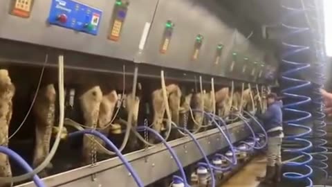 Trudeau Government plays dirty games on Farmers