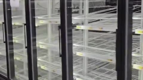 It has been five days since Hurricane Helene, and parents can’t even buy ...