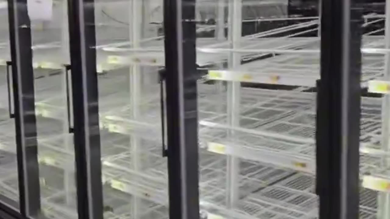 It has been five days since Hurricane Helene, and parents can’t even buy ...