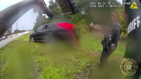 Slow Speed Police Chase, Bite