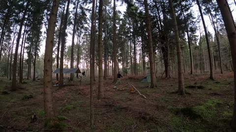 Sawing firewood in a woodland. Speedlapse GoPro. 20th Jan 2023