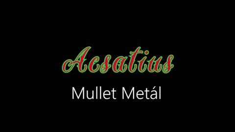 Acsatius ¦ Mullet Metál (officiäl audió)