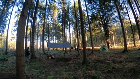 Seting up the camera to film. Woodland wildcamping. Speedlapse20th Jan 2023