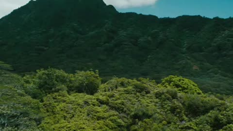 Pirates of the Caribbean - On Stranger Tides