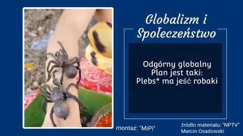 Plan Globalnej Nierządnicy