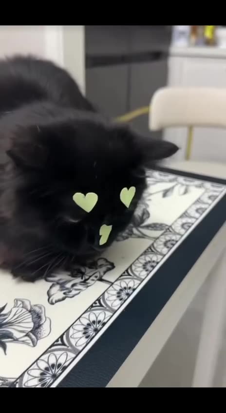 Making Black Cats loveable once more 😍😊