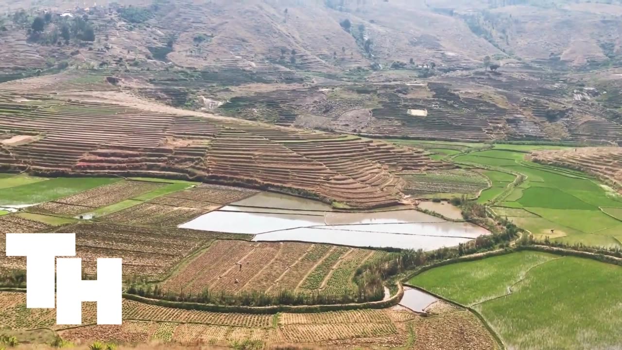 Madagascar