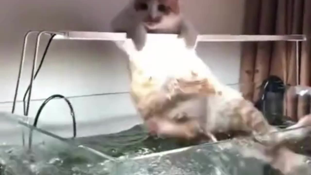 Hold your breath