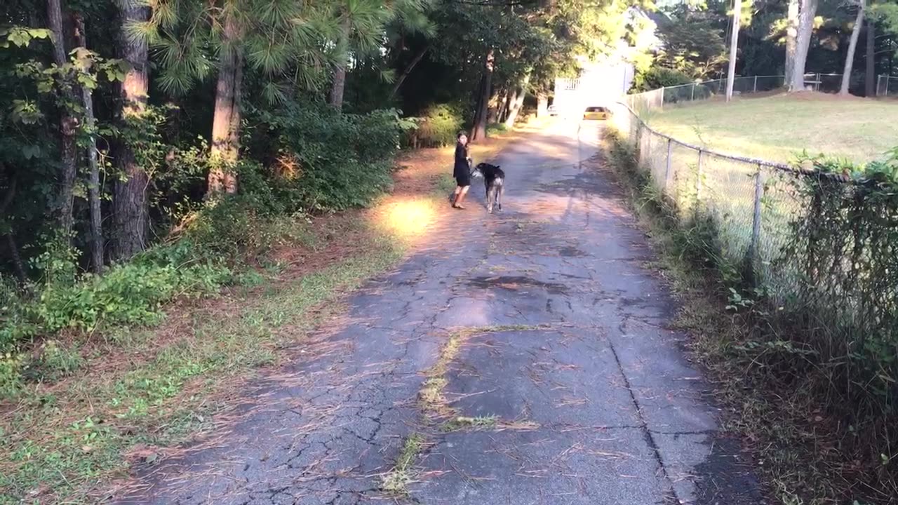Trapper walking Beth