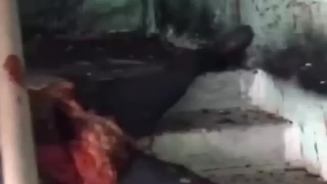 Horrific Video of Russian Blown Down a Stairwell