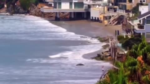 “We took paradise and turned it into hell” - “It’s very hard to destroy California…. But we did it.”
