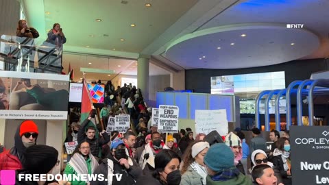 Shopping mall STORMED in BOSTON on Black Friday - protest for Palestine