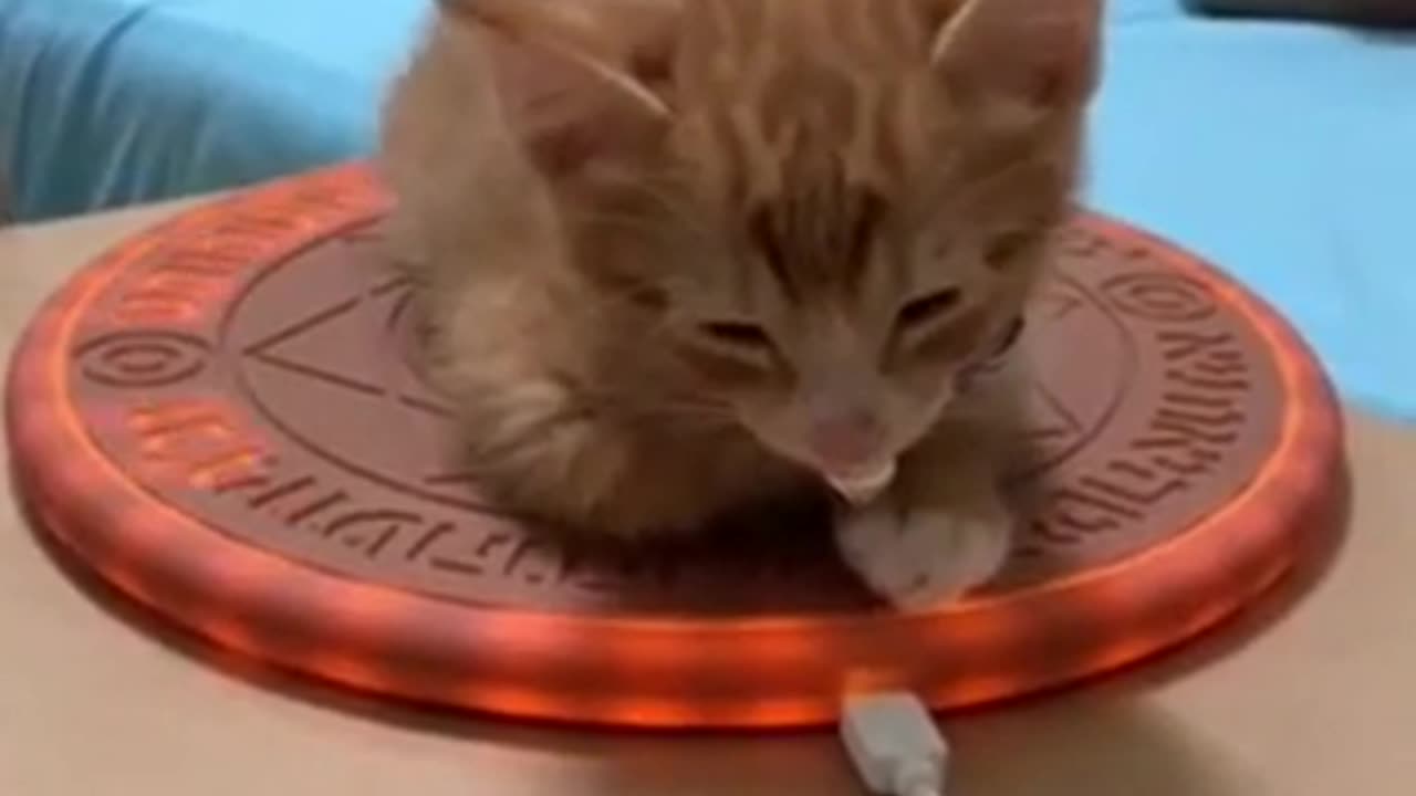Good morning, don't forget to charge your cat up today