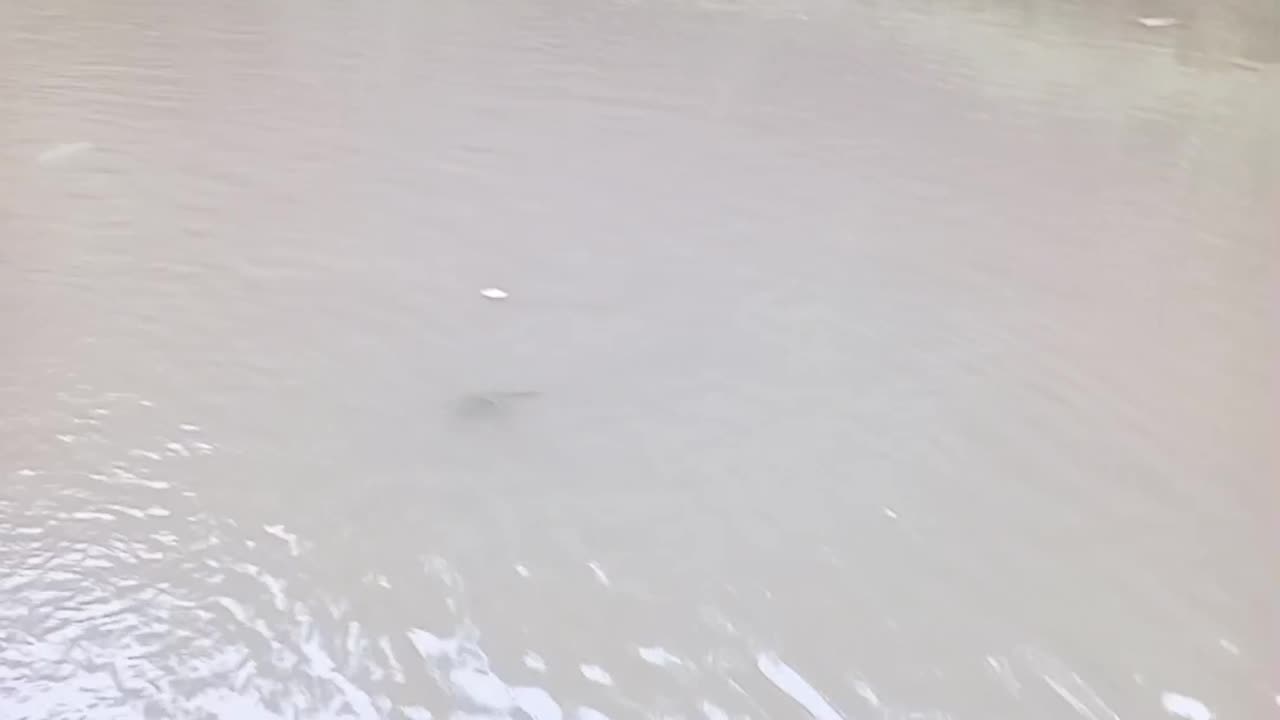 River fishing
