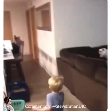 Savage Cat vs The Running Kid