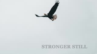 Pray USA, 2/6/23 Stronger Still