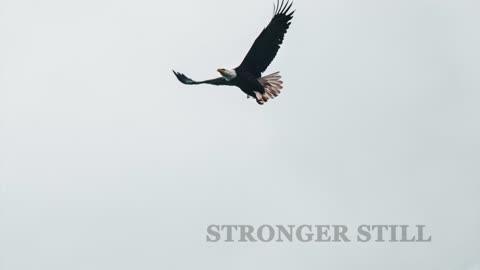 Pray USA, 2/6/23 Stronger Still