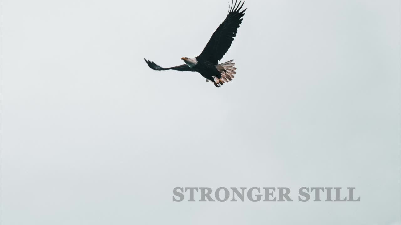 Pray USA, 2/6/23 Stronger Still