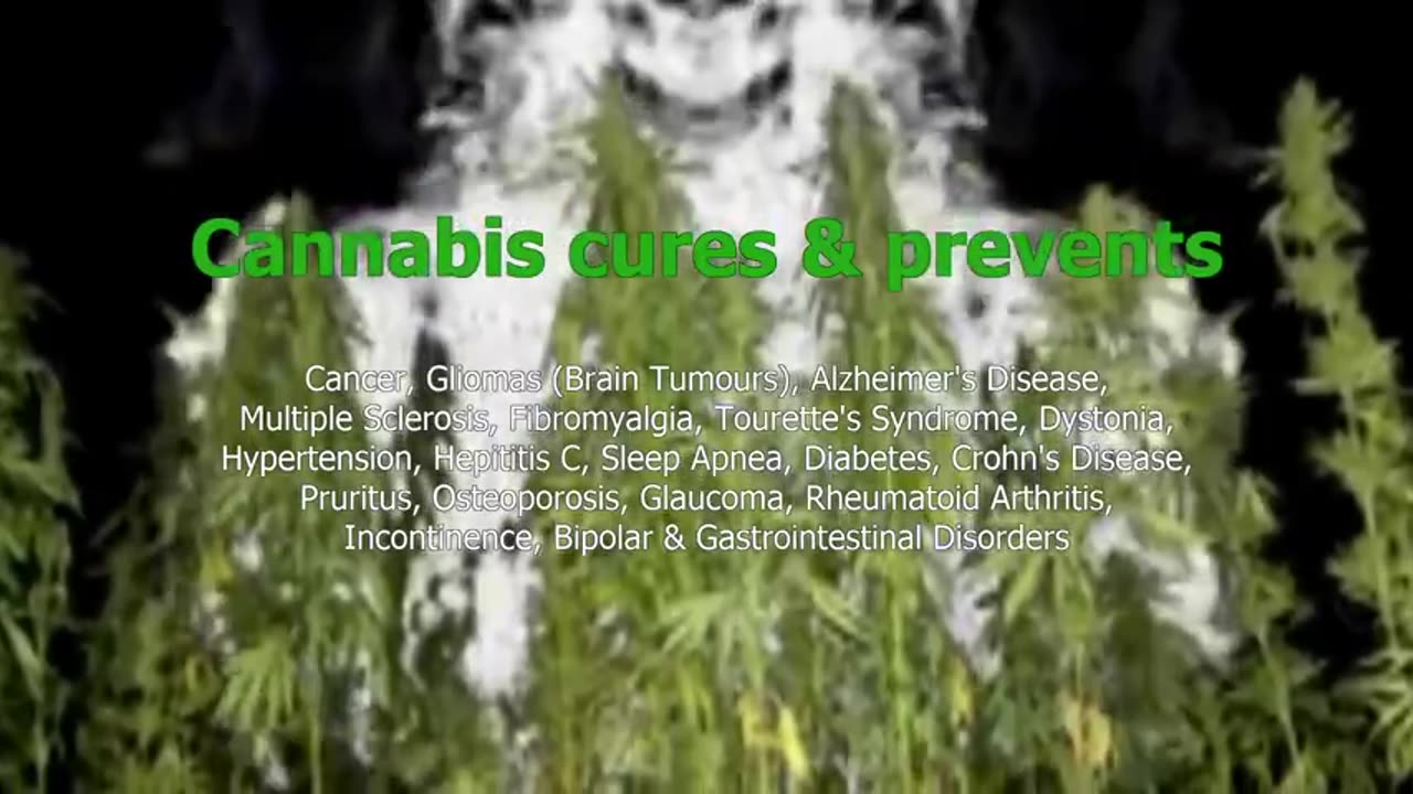 The TRUTH about CANNABIS