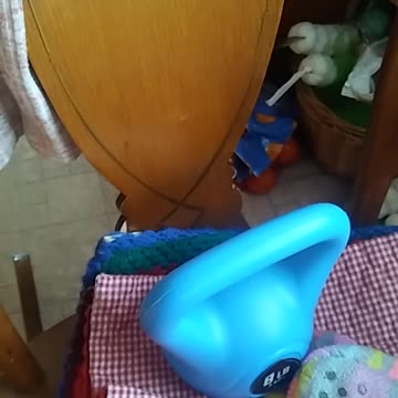 VITAMINS: LEMON AND ORANGE BEHIND THE SCENES