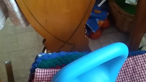 VITAMINS: LEMON AND ORANGE BEHIND THE SCENES