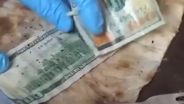 WATCH TILL THE END THANK ME LATER