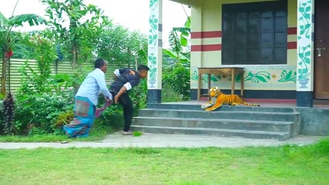 Fake Tiger vs Public Reaction Prank Video By
