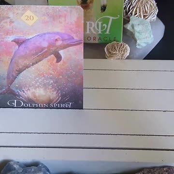 What Spirit Animals Are With You Today? #shorts