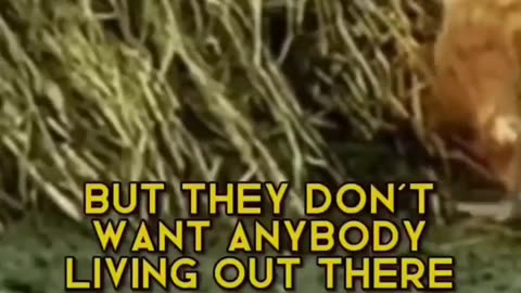 They want total control.